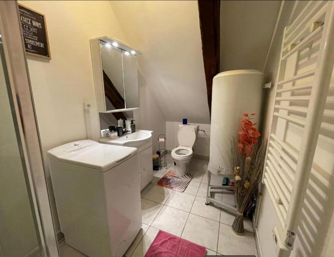 Appartement Avec Parking Gratuit Et Wifi Vierzon Luaran gambar