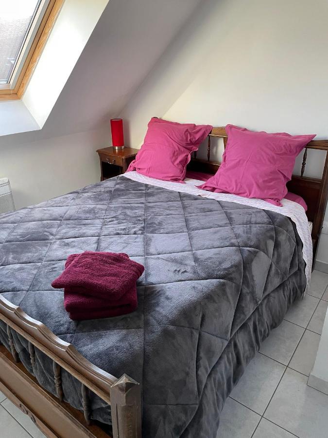 Appartement Avec Parking Gratuit Et Wifi Vierzon Luaran gambar