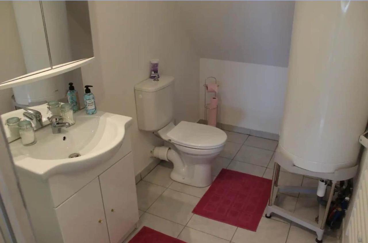 Appartement Avec Parking Gratuit Et Wifi Vierzon Luaran gambar